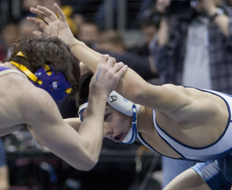 Wrestling: State Championships